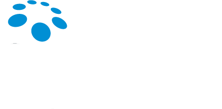 softebizz